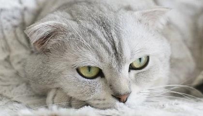 OnlyFans科普：花絮背后10个惊人真相
