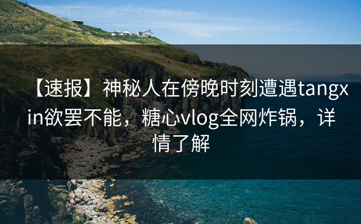 【速报】神秘人在傍晚时刻遭遇tangxin欲罢不能，糖心vlog全网炸锅，详情了解